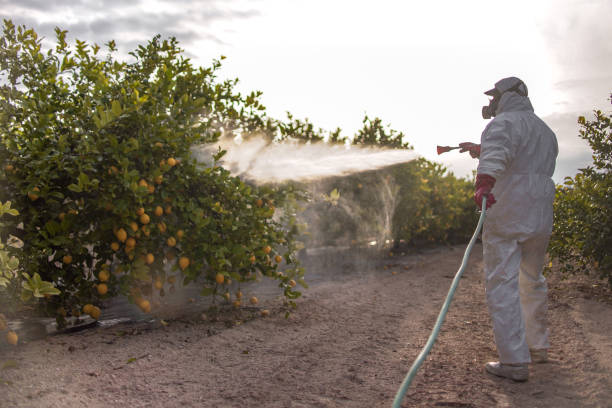 Best Residential Pest Control  in Glasgow, MT